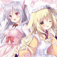 Amairo Chocolate 3