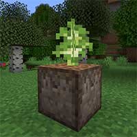 Auto Planter Mod