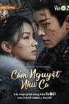 Cẩm nguyệt như ca