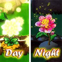 Đảo Rồng Mobile