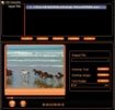 FLV converter