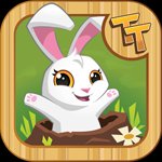 Tunnel Town cho Android