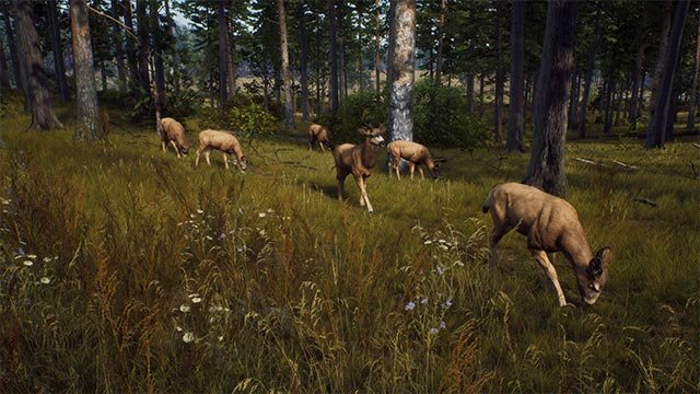 Way of the Hunter 2
